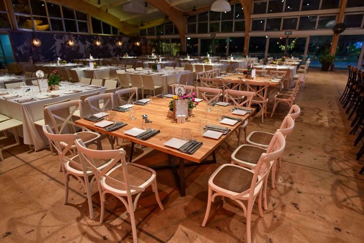 לא הפסיק לטעות: הצעת נישואים בתסבוכת 5