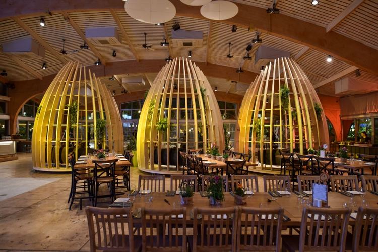 לא הפסיק לטעות: הצעת נישואים בתסבוכת 22