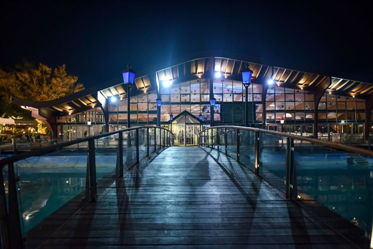 לא הפסיק לטעות: הצעת נישואים בתסבוכת 3