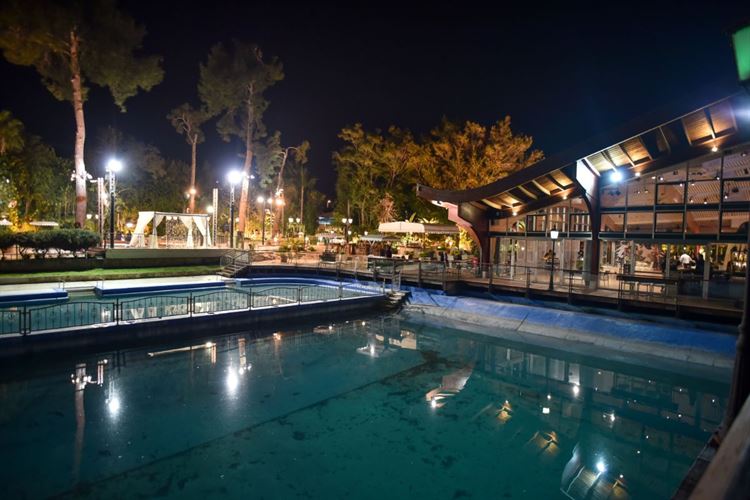 לא הפסיק לטעות: הצעת נישואים בתסבוכת 23