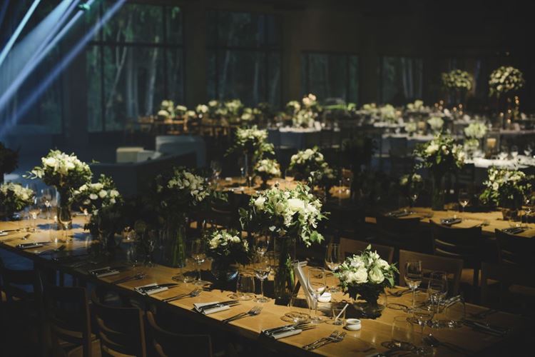 עסקים או הנאה: נסיעת העבודה שהתפתחה בכיוון לא צפוי 19