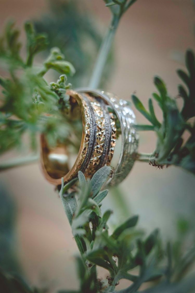 הוא לא ידע את שמה: הכלה שהסתירה פרט חשוב והתחרטה 7