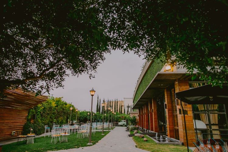 אלבום החתונה של קאי הנובר ובוריס וקסמן (צילום: רן שיינברגר)