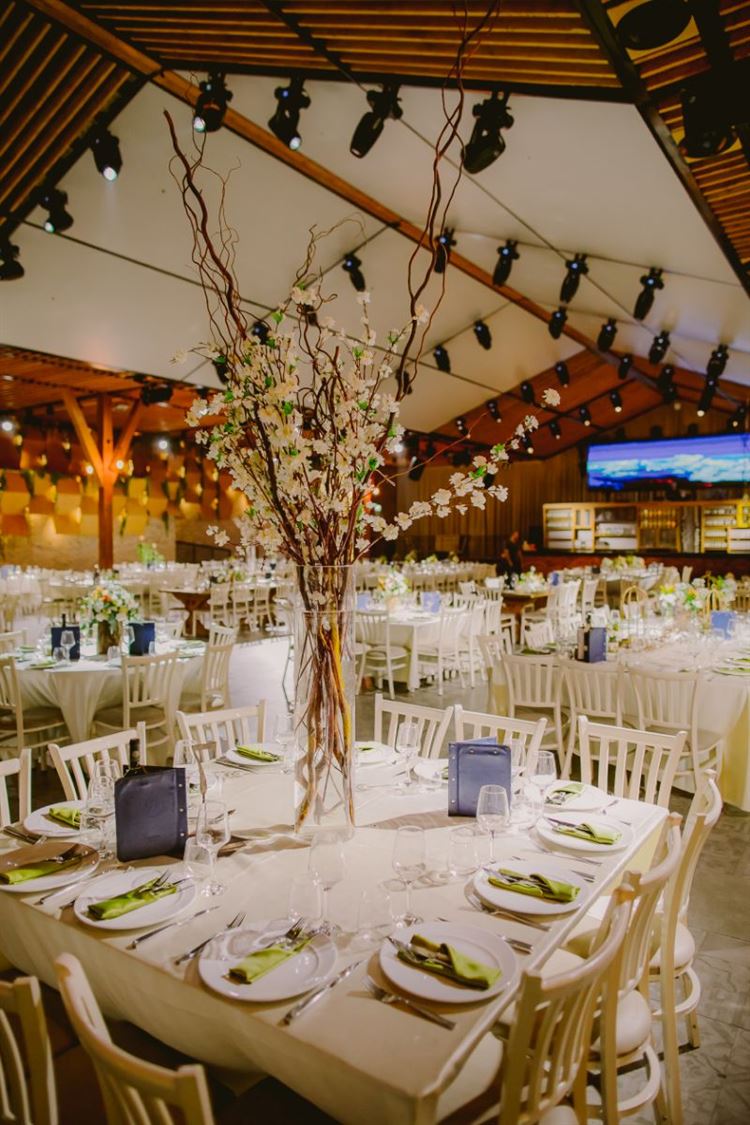 אלבום החתונה של קאי הנובר ובוריס וקסמן (צילום: רן שיינברגר)