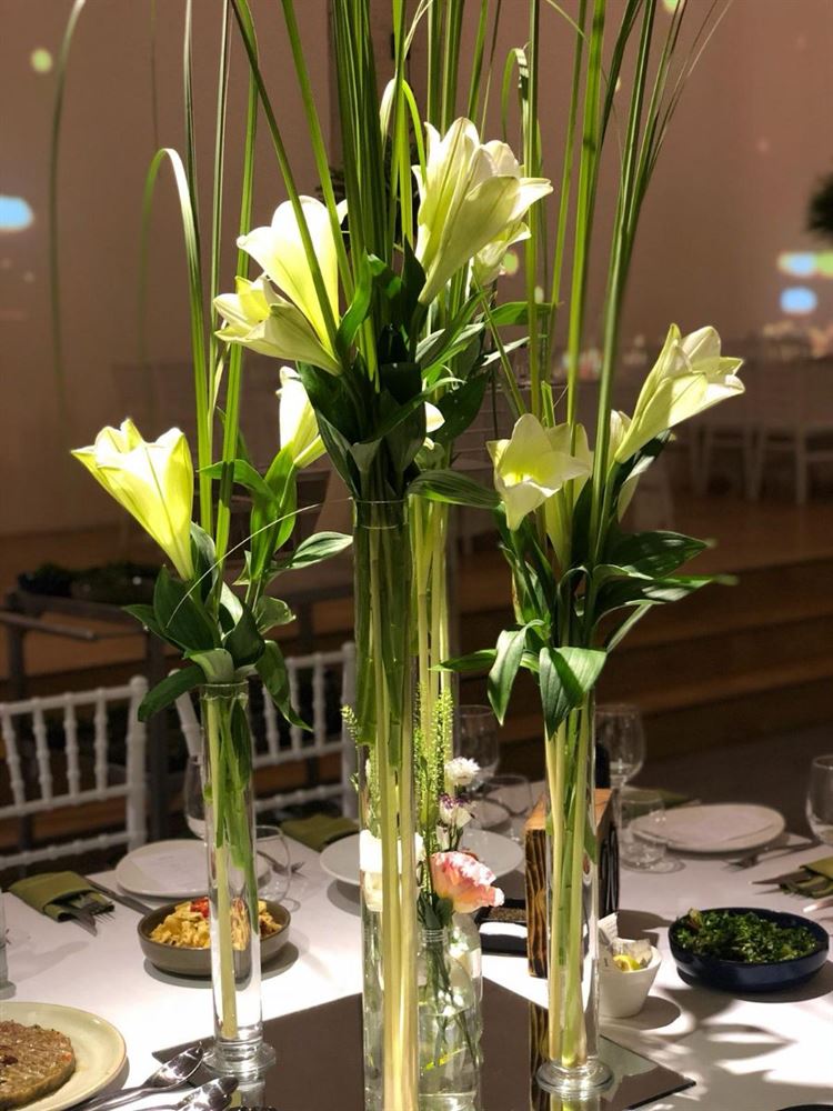 לאהוב את "גאיה": מתחם אירועים בשיא הפסטורליות 24