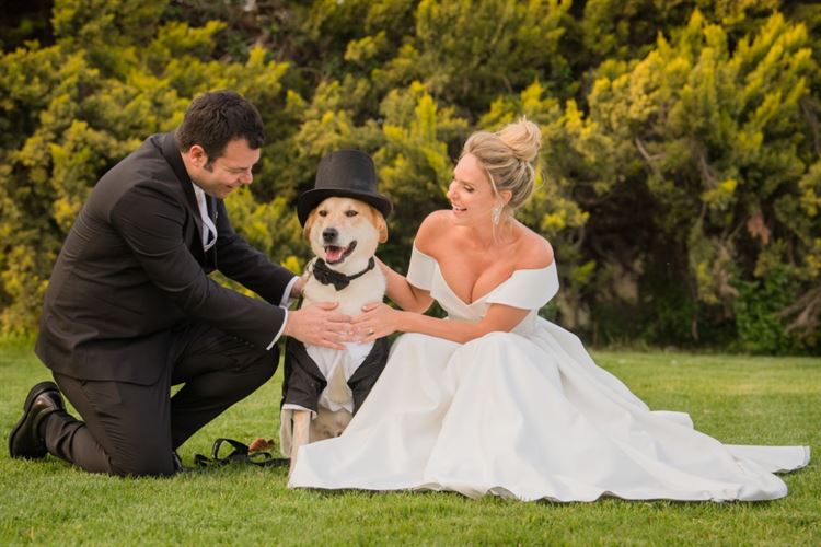 מתוך אלבום החתונה של יעל רוחקינד ותום ליבנה (צילום: חיים אפריאט)