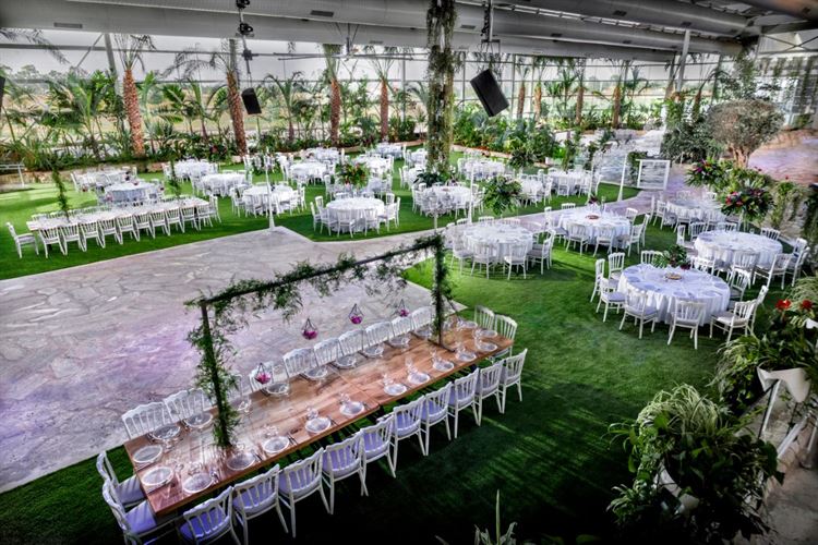 צ'יל וויבס: 10 מקומות מושלמים לחתונת שישי צהריים 2