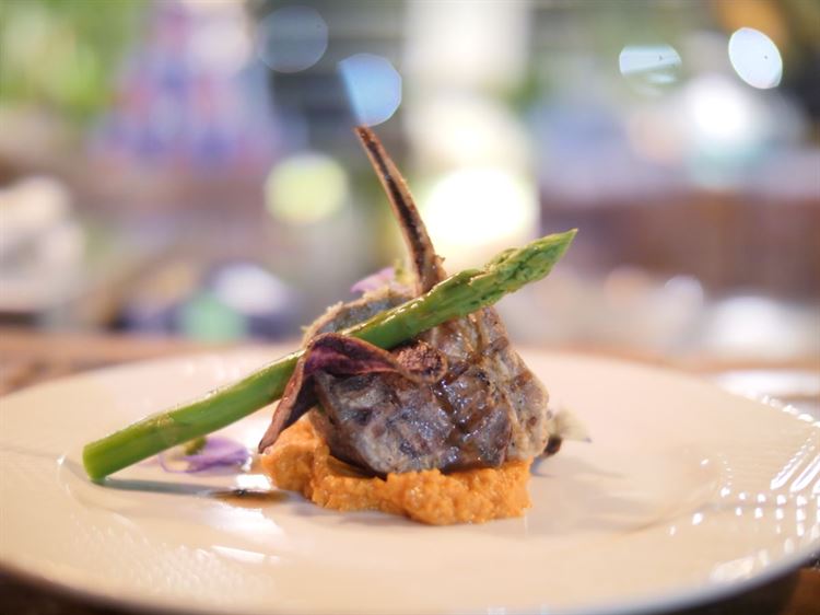 לא רק הקולינריה: יצאנו לפצח את סוד ההצלחה של "נסיה" 4