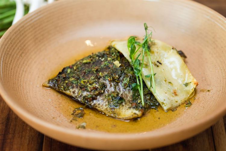 היכון, הכן, טעם: הבשורה הקולינרית של "ויגו" 8