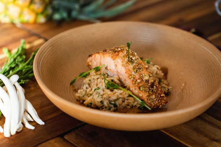 היכון, הכן, טעם: הבשורה הקולינרית של "ויגו" 9