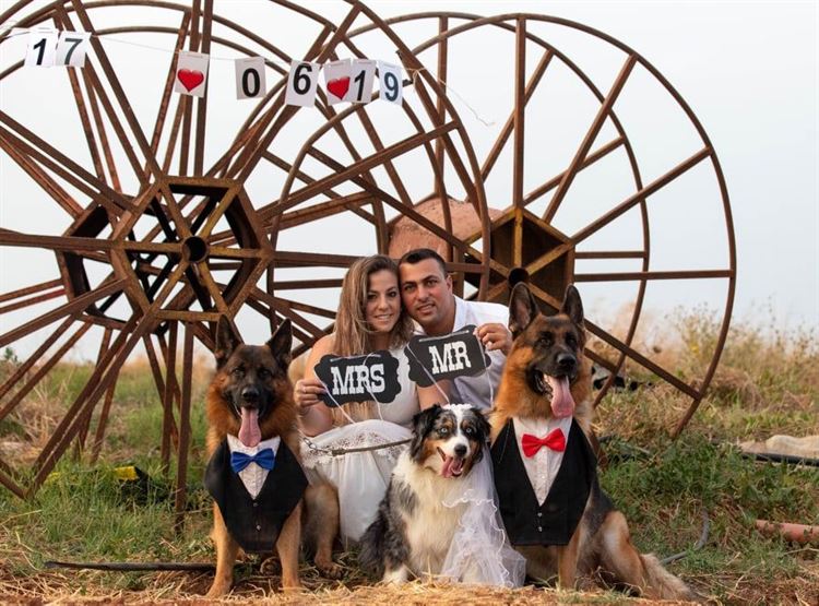 Who let the dogs out: צילומי "סייב דה דייט" עם בעלי חיים 2