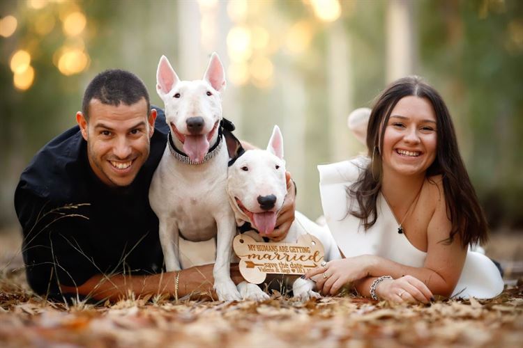 Who let the dogs out: צילומי "סייב דה דייט" עם בעלי חיים 3