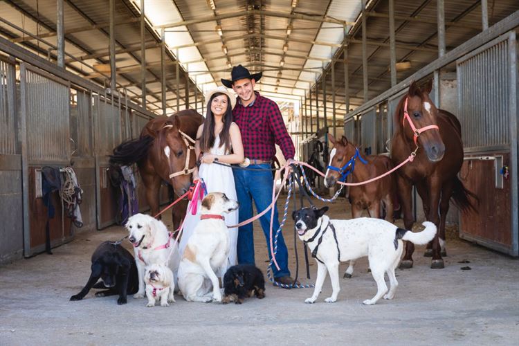 Who let the dogs out: צילומי "סייב דה דייט" עם בעלי חיים 6