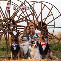 Who let the dogs out: צילומי 
