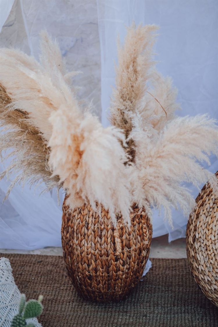 White Oasis: הפקת קיץ לוהטת עם התאומות נוי והדר 19