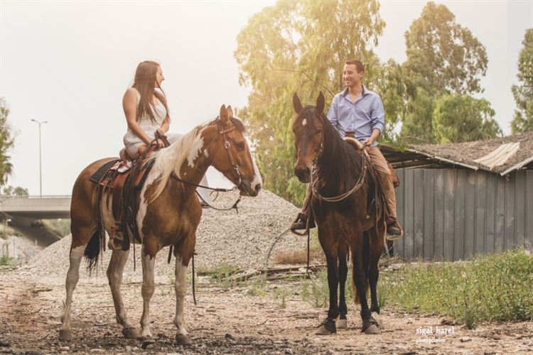 כשבמבי פגש את סימבה: חתונת הדיסני הכי צבעונית שתכירו 6