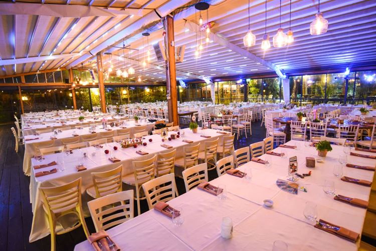 כשבמבי פגש את סימבה: חתונת הדיסני הכי צבעונית שתכירו 23