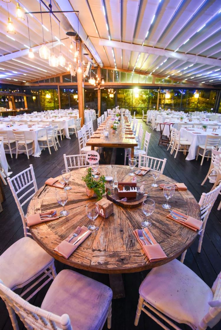 כשבמבי פגש את סימבה: חתונת הדיסני הכי צבעונית שתכירו 5