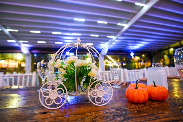 כשבמבי פגש את סימבה: חתונת הדיסני הכי צבעונית שתכירו 29