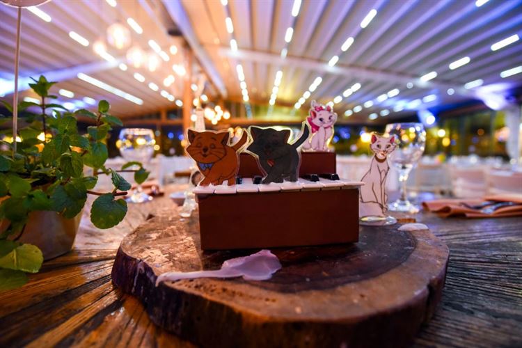 כשבמבי פגש את סימבה: חתונת הדיסני הכי צבעונית שתכירו 30