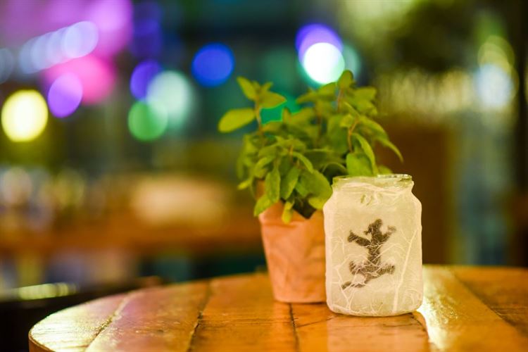 כשבמבי פגש את סימבה: חתונת הדיסני הכי צבעונית שתכירו 39