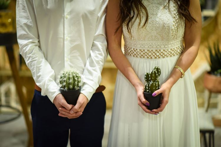 כשבמבי פגש את סימבה: חתונת הדיסני הכי צבעונית שתכירו 18