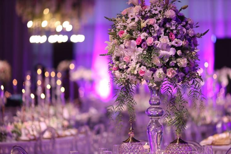 אנחנו התאהבנו! (צילום: מרווין)