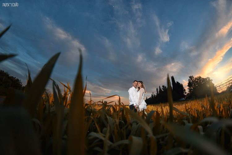 והם חיו באושר ובכושר: מארגז החול בגן אל החופה 26