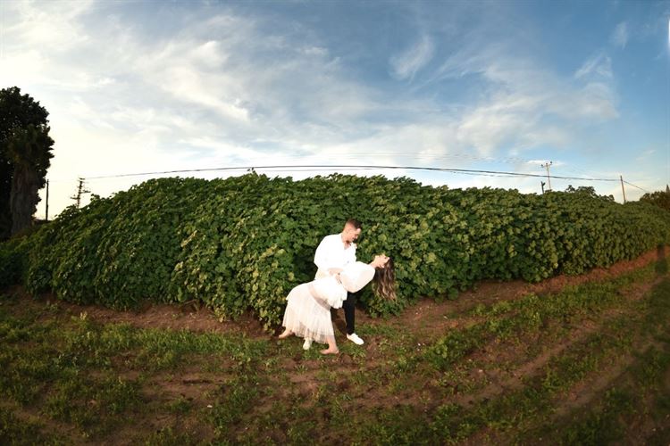 והם חיו באושר ובכושר: מארגז החול בגן אל החופה 30