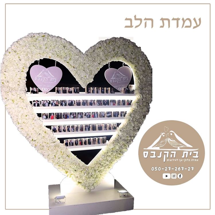 מה משותף לנטע אלחמיסטר, לאייל גולן ולנועה קירל? 12