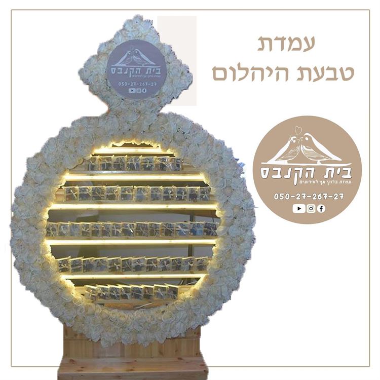 מה משותף לנטע אלחמיסטר, לאייל גולן ולנועה קירל? 13