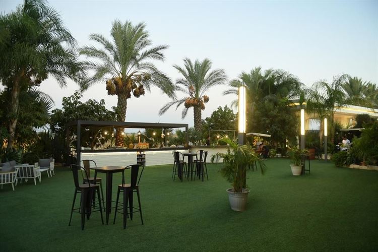 כבר לא בריידזילה: העצה שעשתה את ההבדל 10