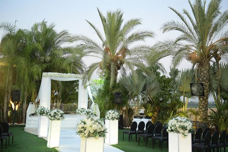 כבר לא בריידזילה: העצה שעשתה את ההבדל 11