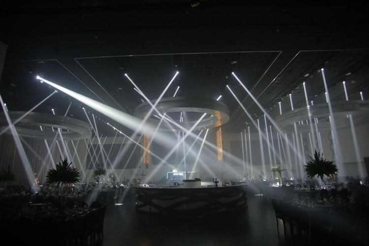 כבר לא בריידזילה: העצה שעשתה את ההבדל 12