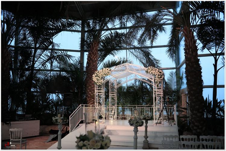 אומנות ההומור: סיפור אהבה שהתחיל מבדיחה 12