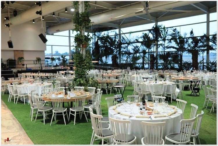 אומנות ההומור: סיפור אהבה שהתחיל מבדיחה 13