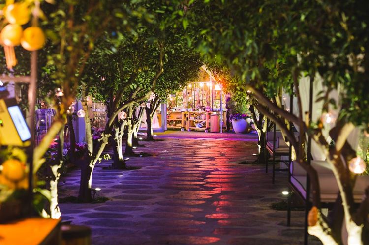 כשהגשם מטפטף: עשרה מקומות אידיאליים לחתונה חורפית בשרון 8