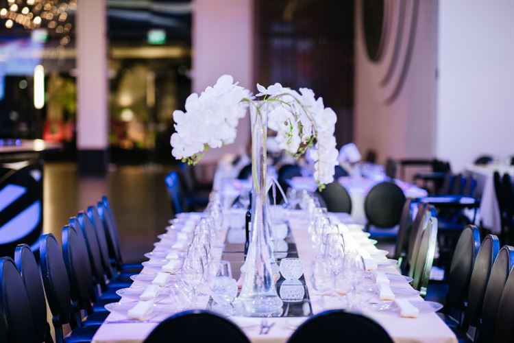 החזון של בת דודתה, שינה את חייה מהקצה לקצה 11