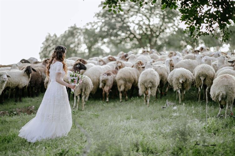 החזון של בת דודתה, שינה את חייה מהקצה לקצה 2