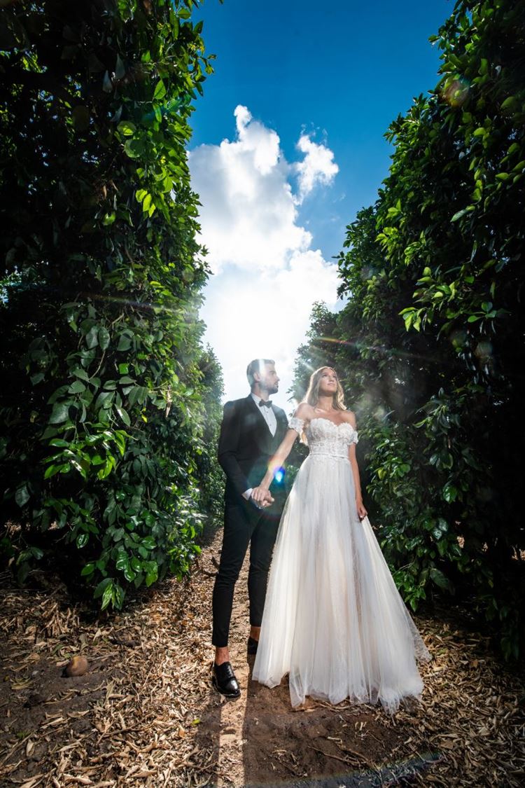 The girl next door: טיפסו על החומה, ומצאו אהבה 7