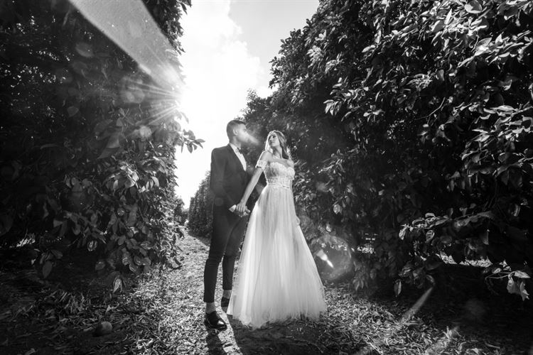 The girl next door: טיפסו על החומה, ומצאו אהבה 8