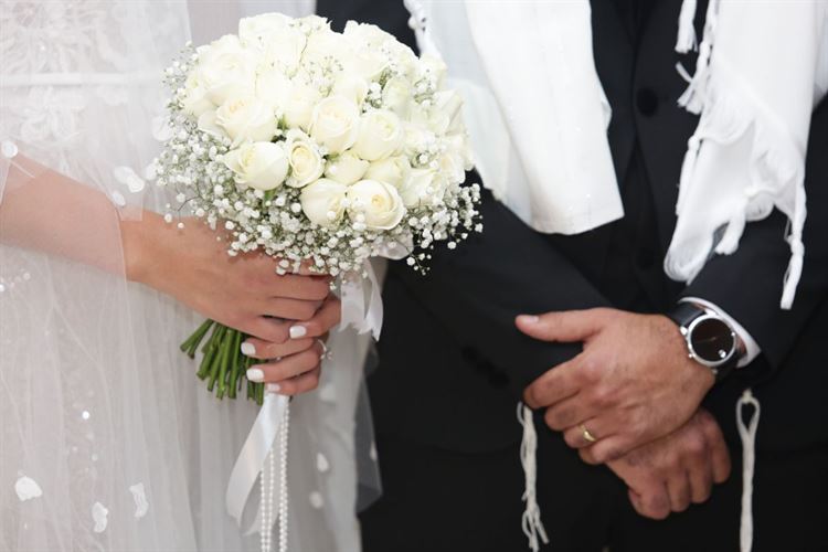 The girl next door: טיפסו על החומה, ומצאו אהבה 11