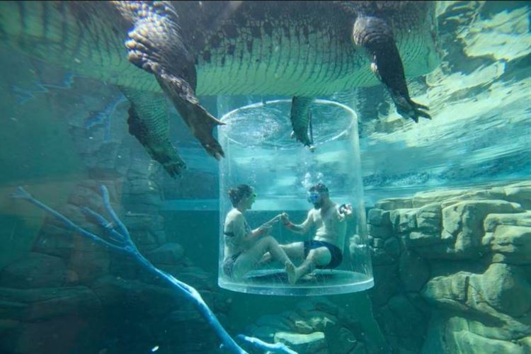 תשכחו מכל מה שהכרתם: הצעות נישואין מקוריות בהגזמה 2