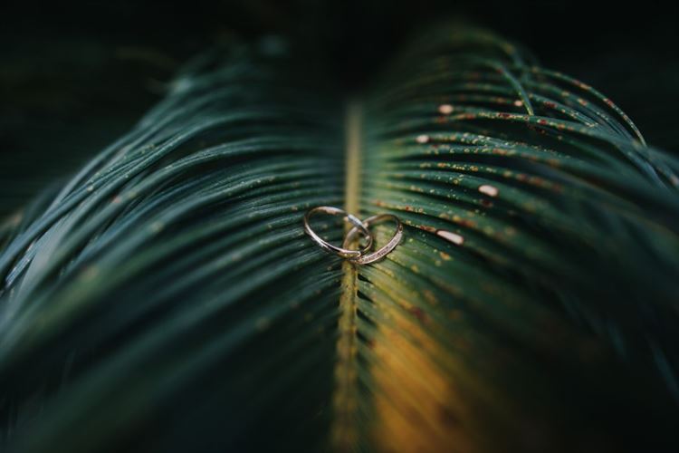 בקונספט של ברווזים: חתונת ה-DIY של עדי ודן 6