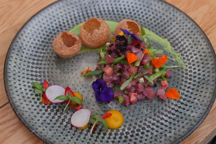 פותחים עם פנה פורי (צילום: אלכס קרמינסקי)