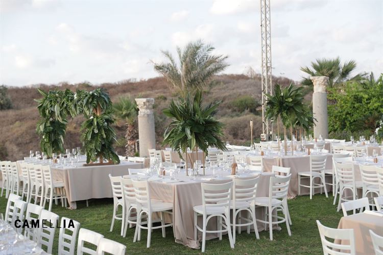 כמו בריזורט: חופה בשקיעה ועיצוב טרופי מדויק 3