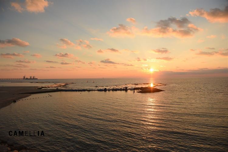 כמו בריזורט: חופה בשקיעה ועיצוב טרופי מדויק 11