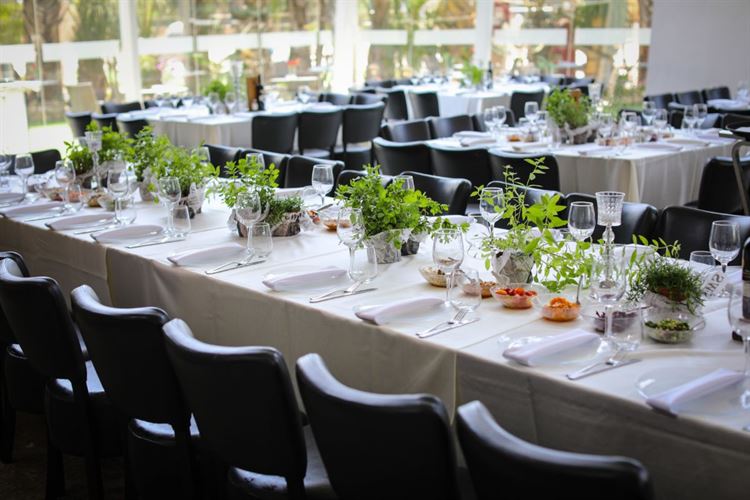 החתונה שהקסימה אותנו: עיצוב DIY עם נגיעות של טבע 5