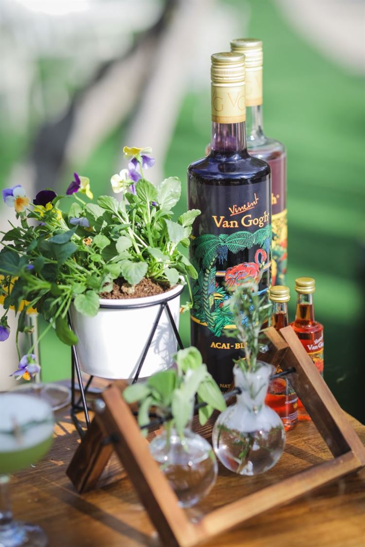 רגע לפני 2020: הפקת סילבסטר נוצצת עם כוכבות הרשת הגדולות 15