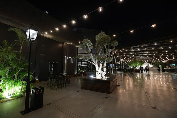 להמתין זה פאסה: זוגיות שעלתה על רכבת מהירה 11